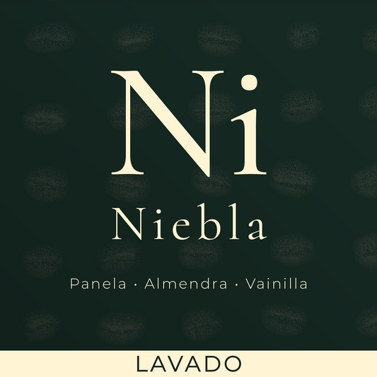 NIEBLA
